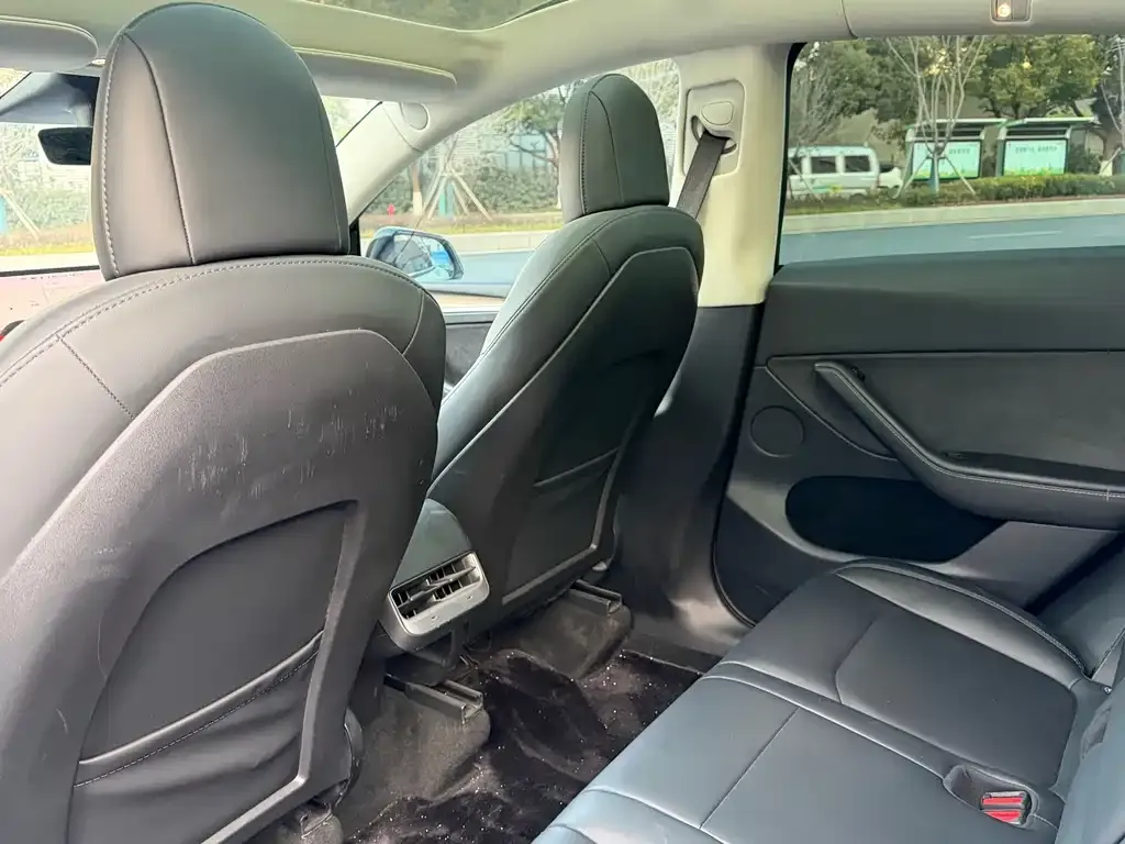 Tesla Model Y 2021 из CN, фото 2