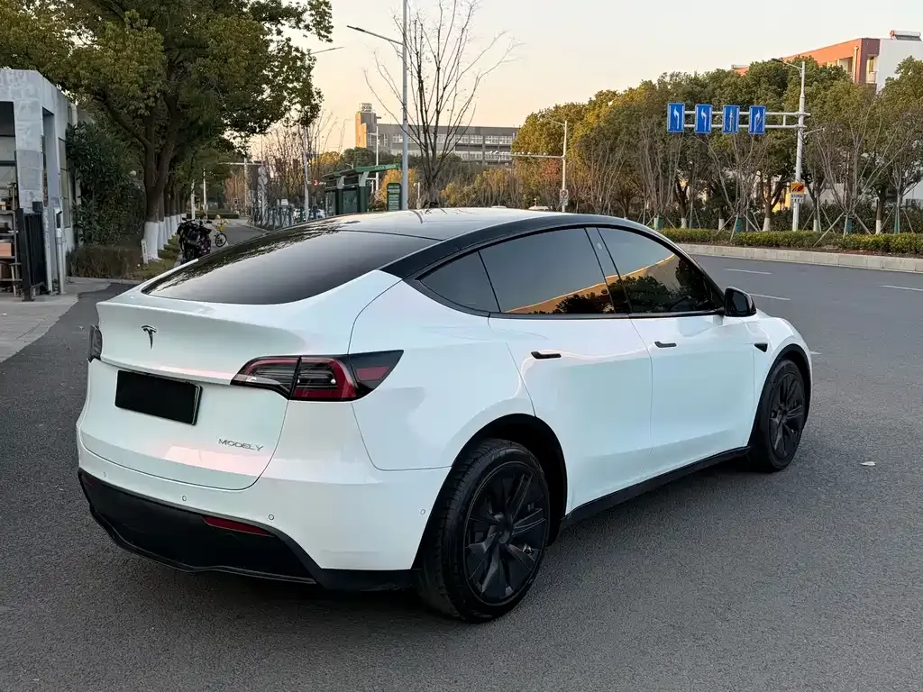 Tesla Model Y 2021 из CN, фото 7