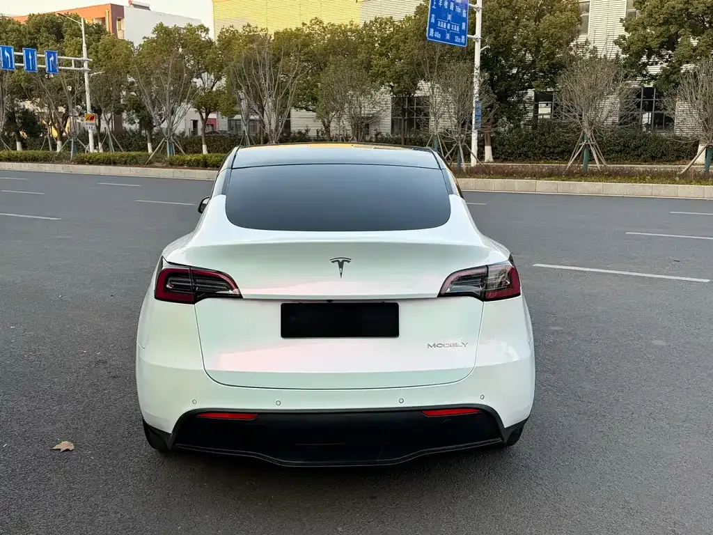 Tesla Model Y 2021 из CN, фото 9