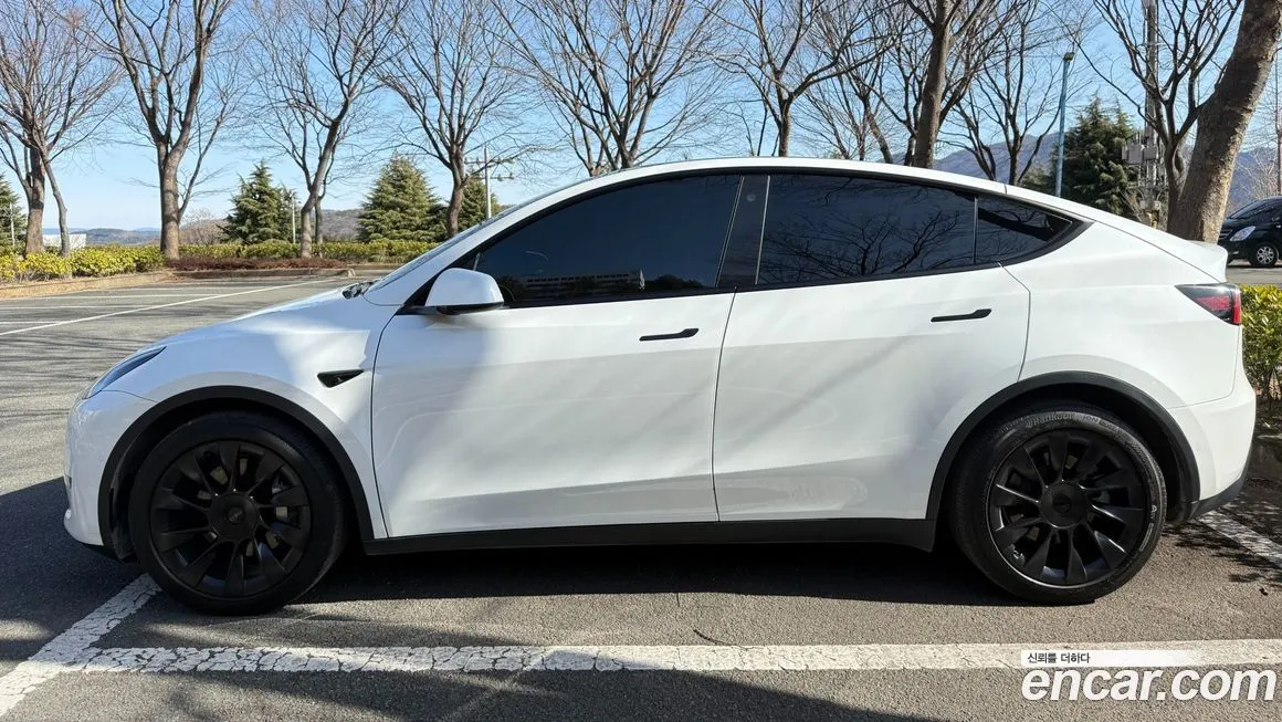 Tesla Model Y — фото 8