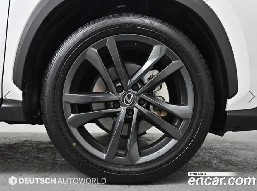 Lexus NX 2025 из KR, фото 6