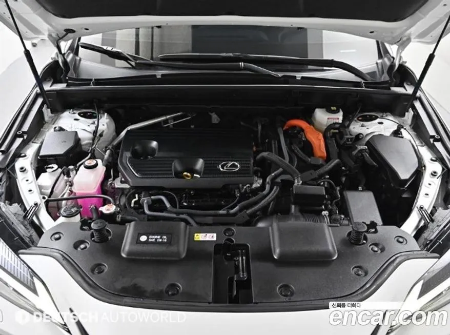 Lexus NX 2025 из KR, фото 9