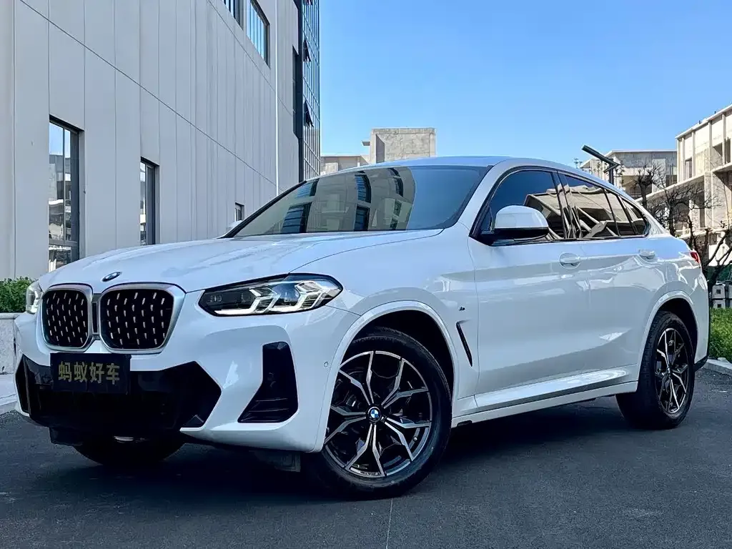 BMW X4 2023 из CN, фото 1