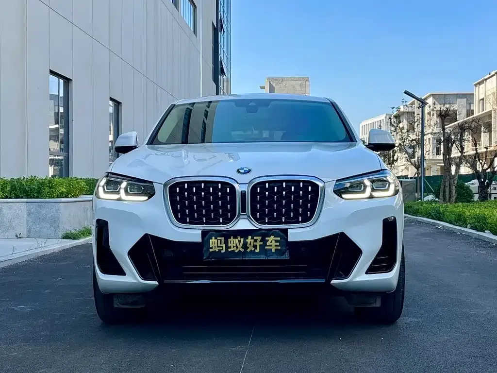 BMW X4 2023 из CN, фото 9