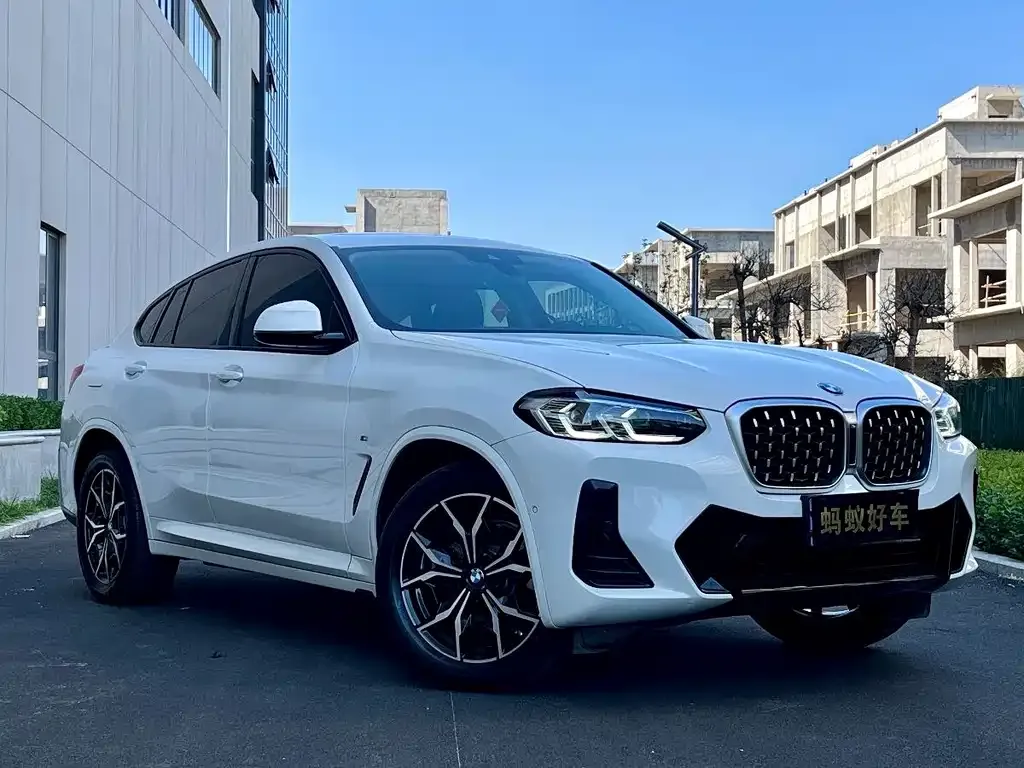 BMW X4 2023 из CN, фото 6