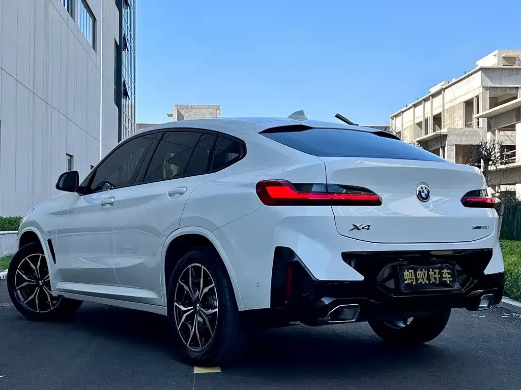BMW X4 2023 из CN, фото 8