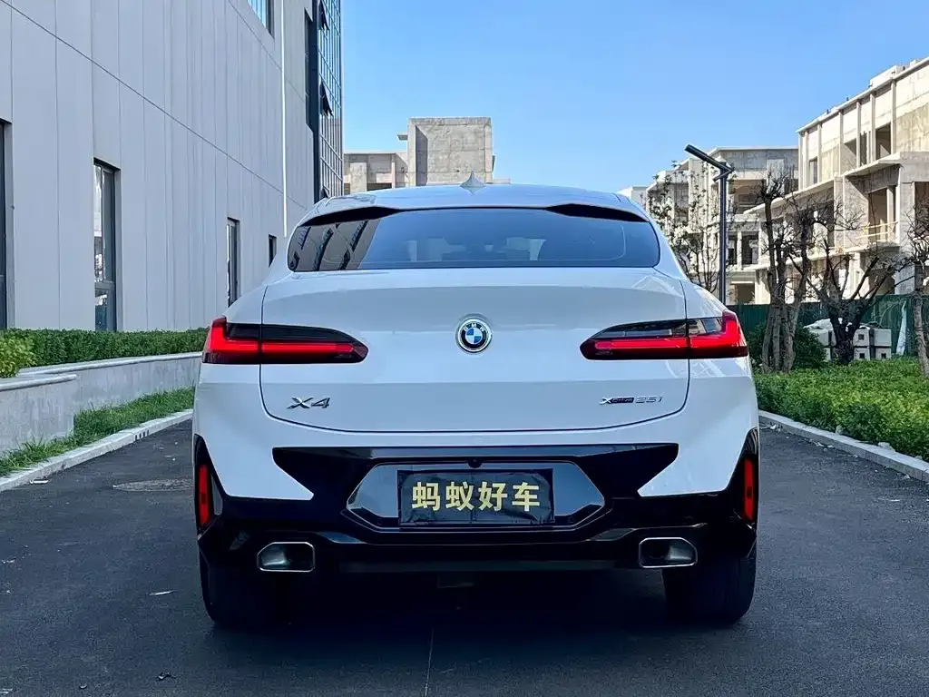 BMW X4 2023 из CN, фото 10