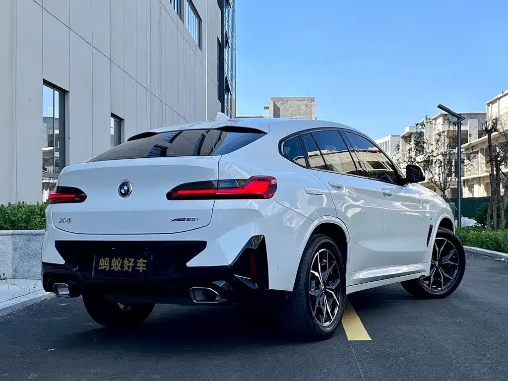 BMW X4 2023 из CN, фото 3