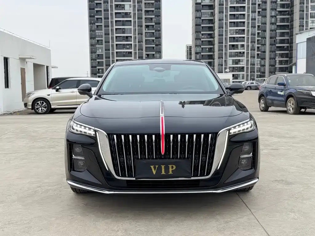 Hongqi H5 2023 из CN, фото 2