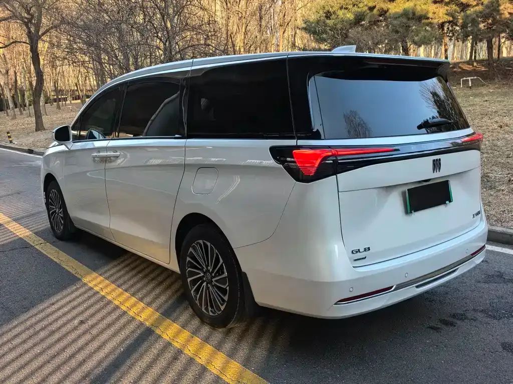 Buick GL8 Hybrid — фото 10
