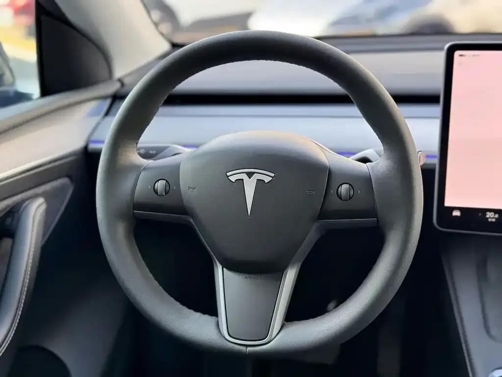 Tesla Model Y 2024 из CN, фото 3