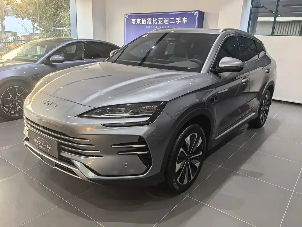 BYD PLUS New Energy — фото 1
