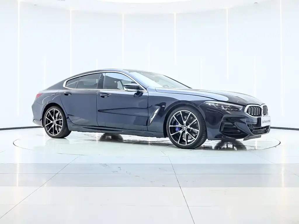 BMW 8 Series — фото 10