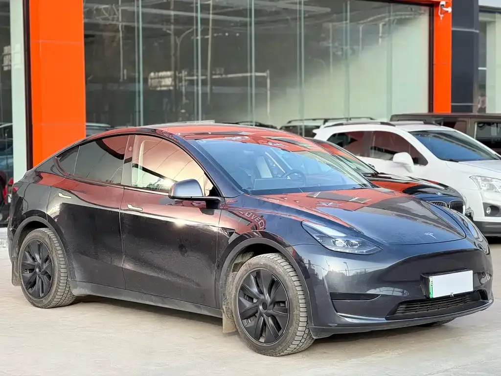 Tesla Model Y — фото 9