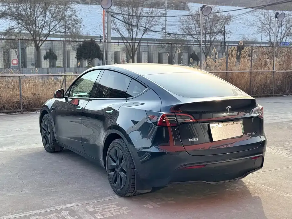 Tesla Model Y — фото 5