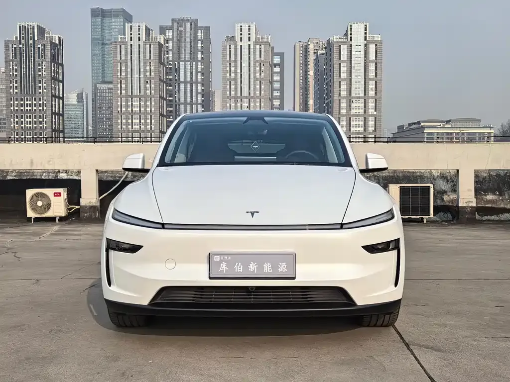 Tesla Model Y — фото 10