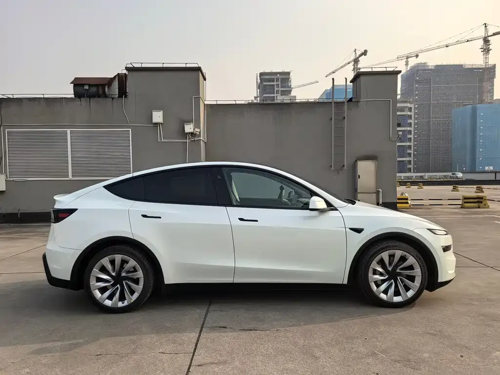 Tesla Model Y — фото 3