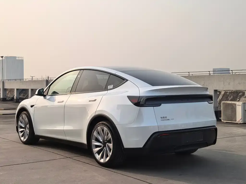 Tesla Model Y — фото 2