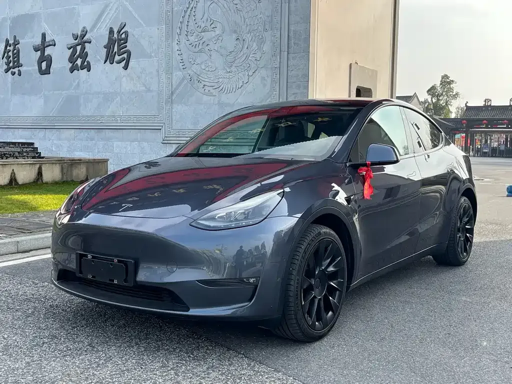 Tesla Model Y — фото 1