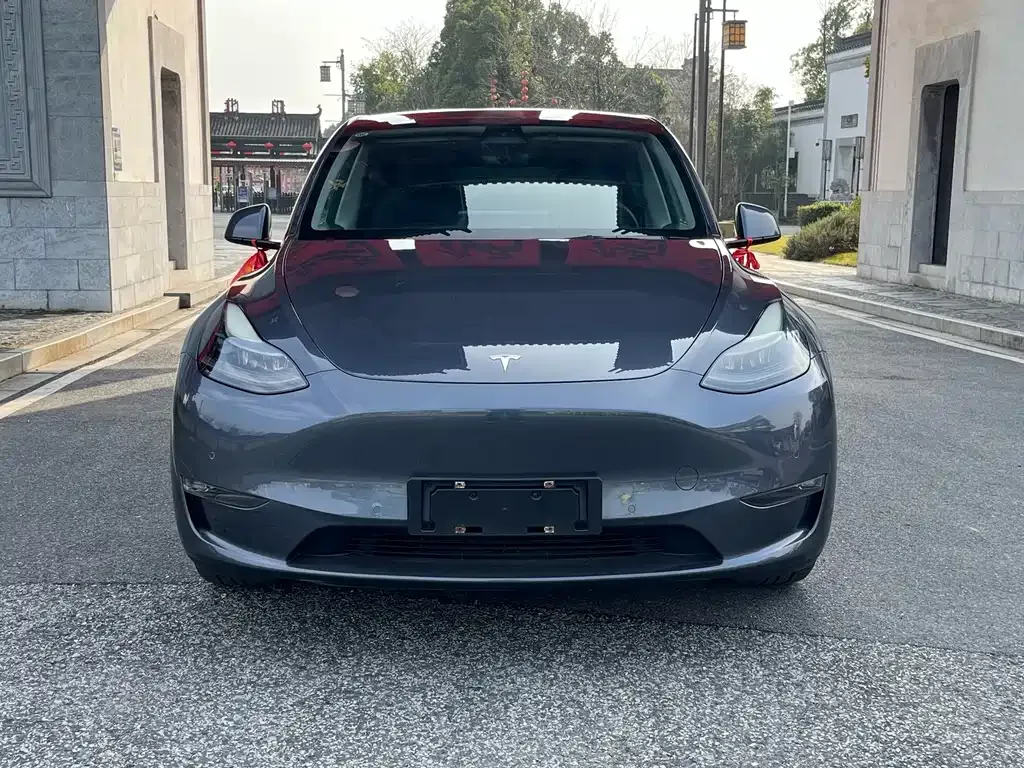 Tesla Model Y — фото 8