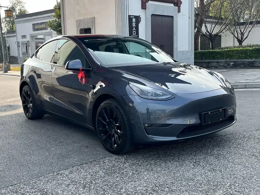 Tesla Model Y — фото 9