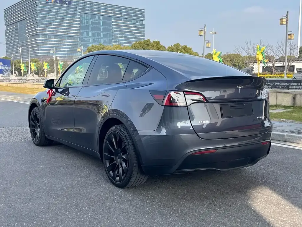 Tesla Model Y — фото 5