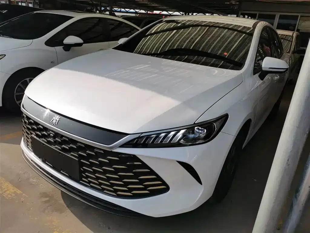 BYD Qin PLUS 2025 из CN, фото 1