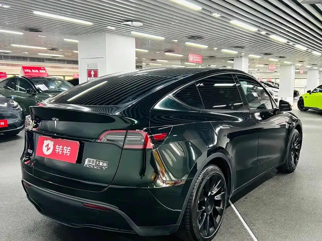 Tesla Model Y 2024 из CN, фото 6