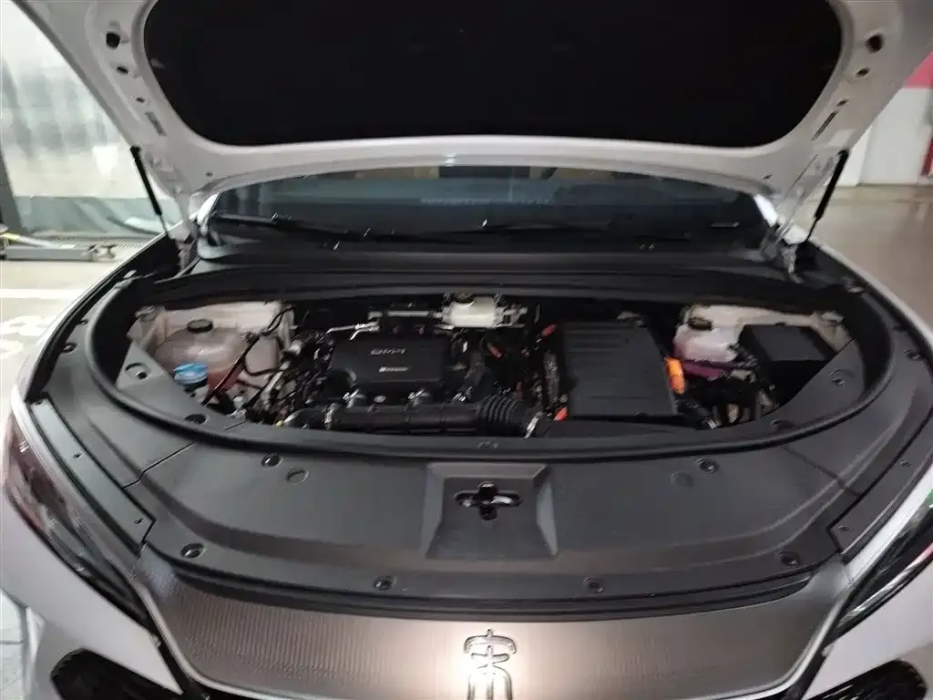 BYD L DM-i 2024 из CN, фото 10