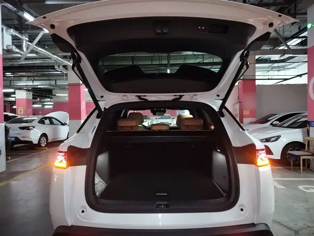 BYD L DM-i 2024 из CN, фото 7