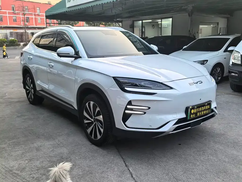BYD PLUS New Energy — фото 8
