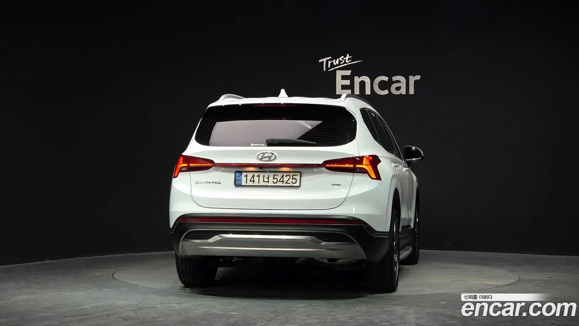 Hyundai Santafe 2022 из KR, фото 9