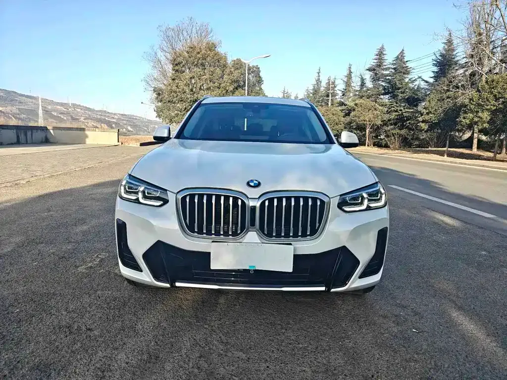 BMW X3 2022 из CN, фото 6