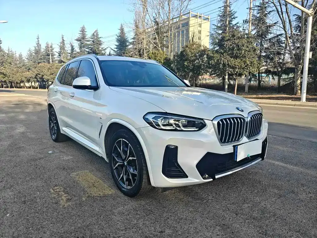 BMW X3 2022 из CN, фото 4