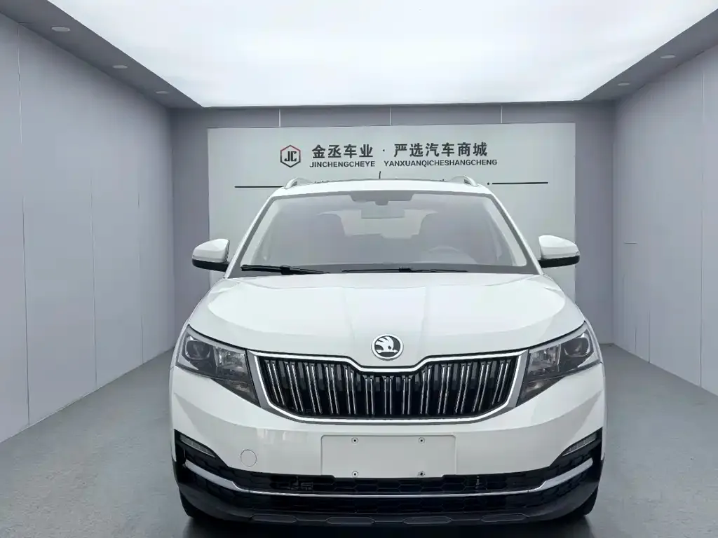 Skoda Kamiq 2021 из CN, фото 3