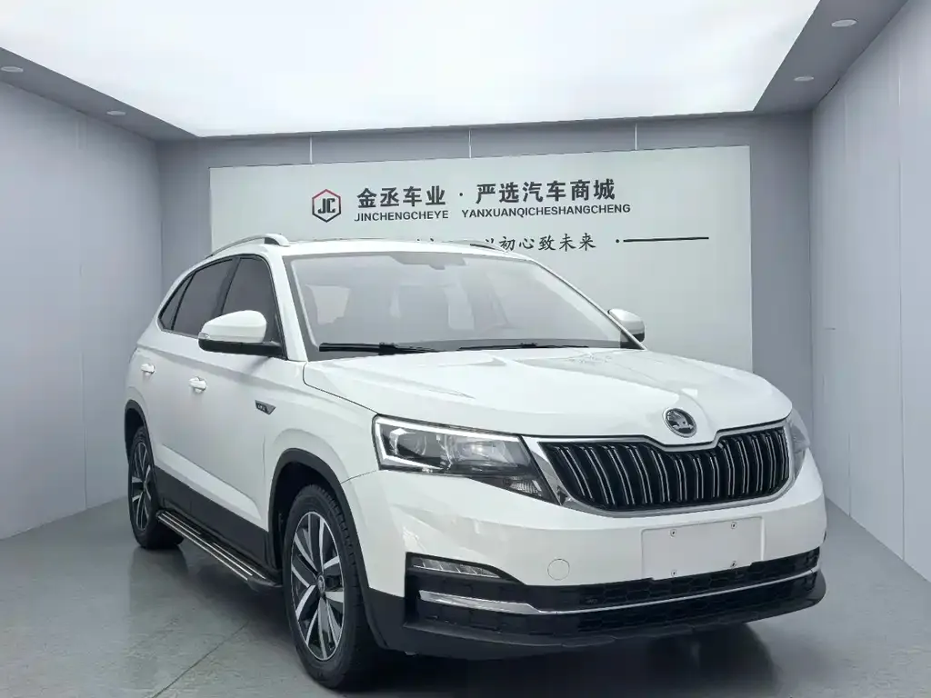 Skoda Kamiq 2021 из CN, фото 6