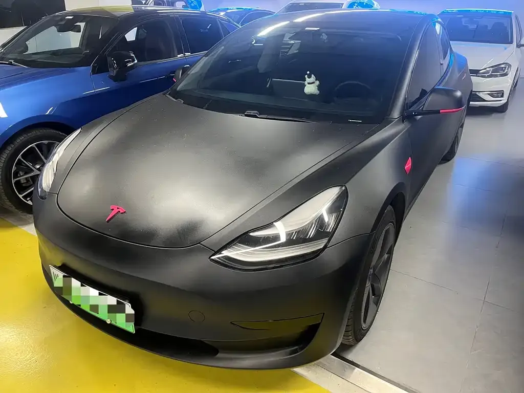 Tesla Model 3 2021 из CN, фото 1