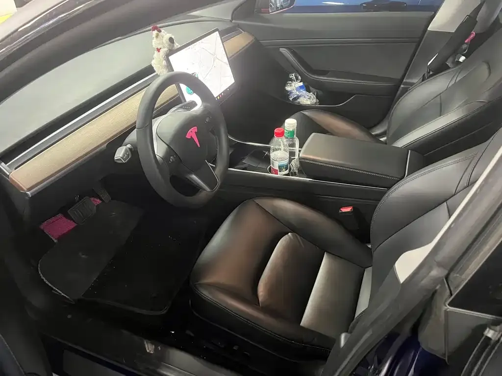 Tesla Model 3 2021 из CN, фото 2