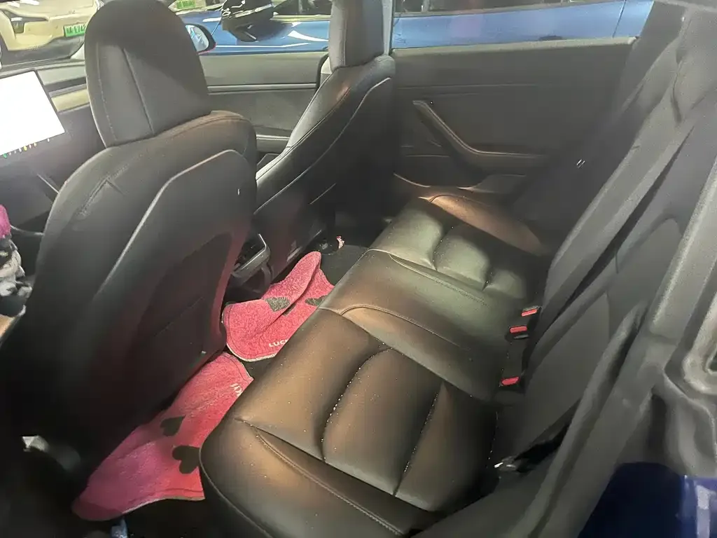 Tesla Model 3 2021 из CN, фото 6