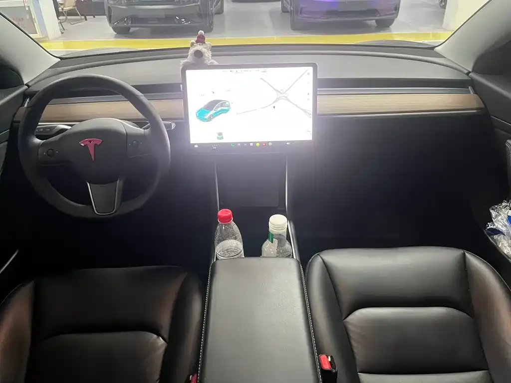 Tesla Model 3 2021 из CN, фото 5
