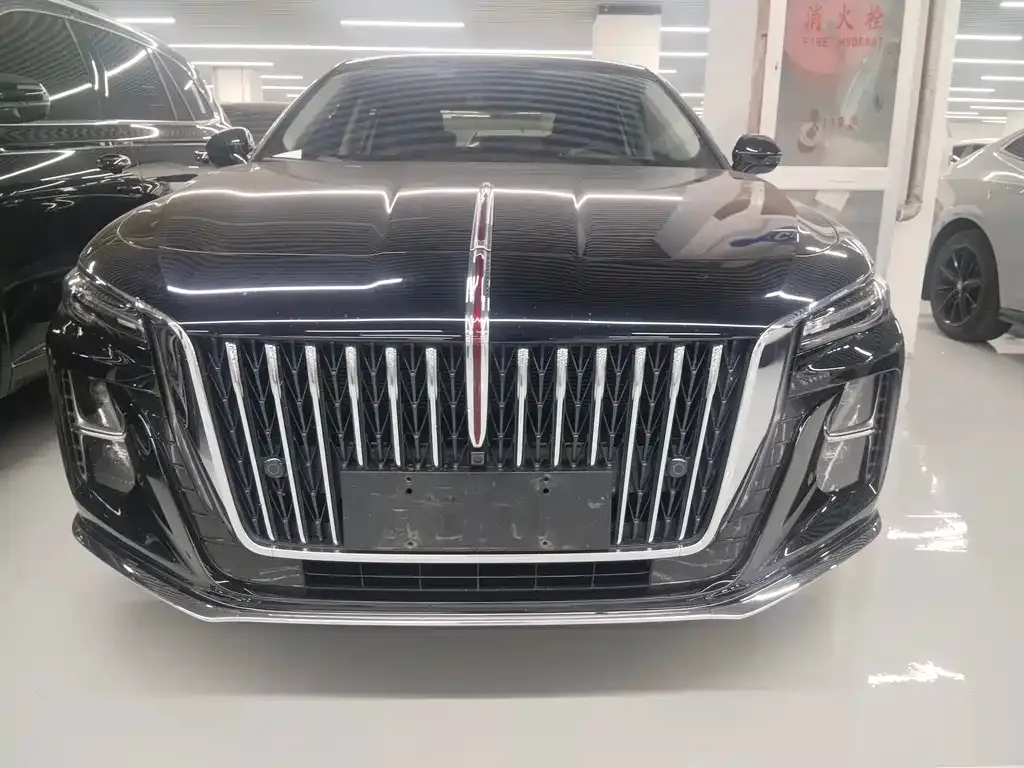 Hongqi H5 2024 из CN, фото 2