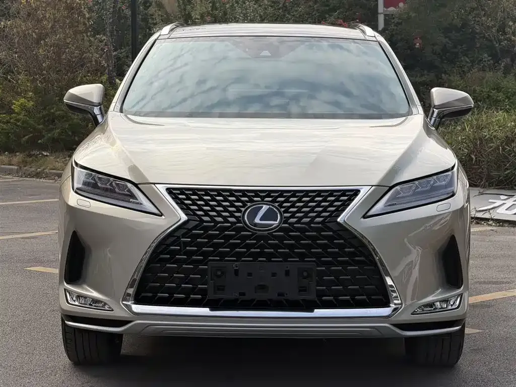 Lexus RX 2021 из CN, фото 6