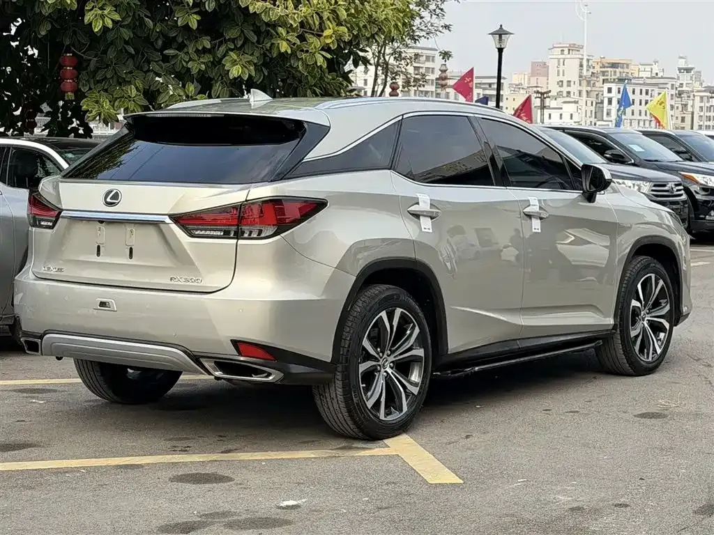 Lexus RX 2021 из CN, фото 9