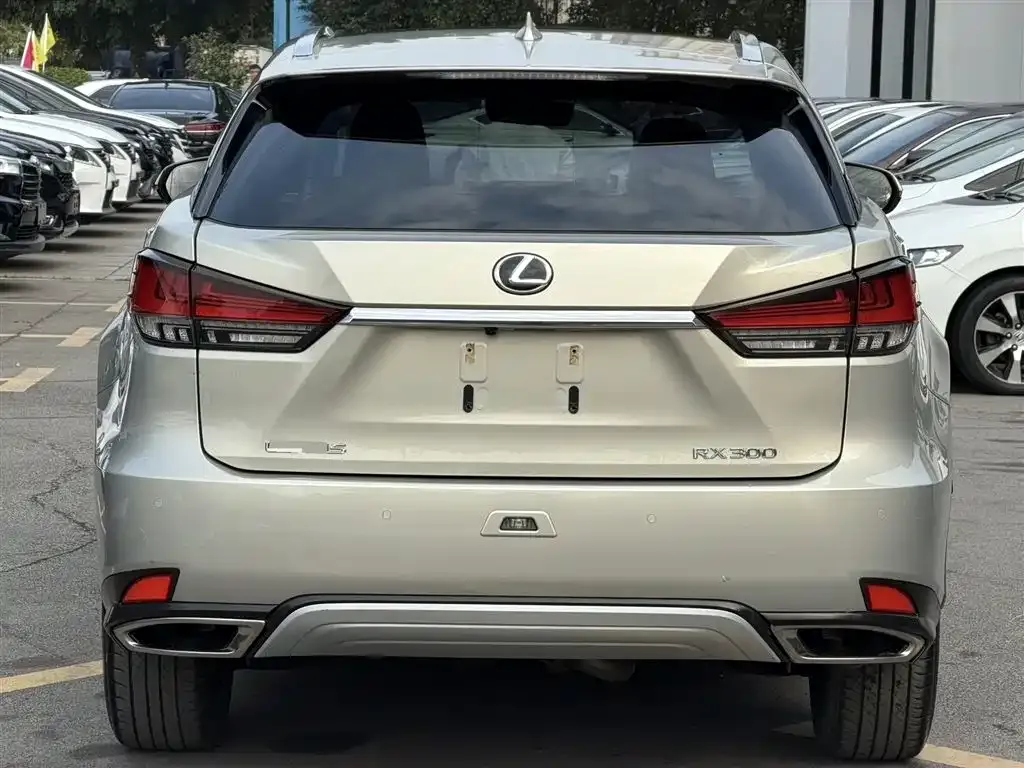 Lexus RX 2021 из CN, фото 8
