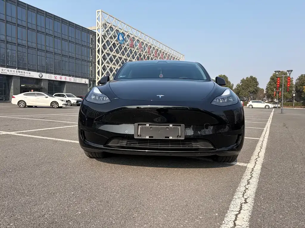 Tesla Model Y — фото 3