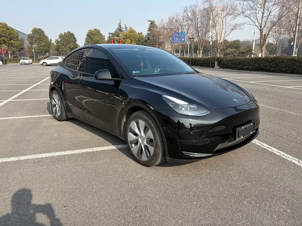 Tesla Model Y — фото 6