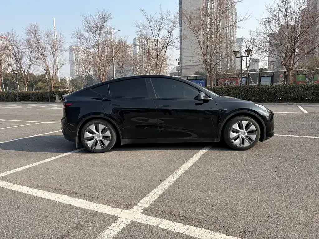 Tesla Model Y — фото 8