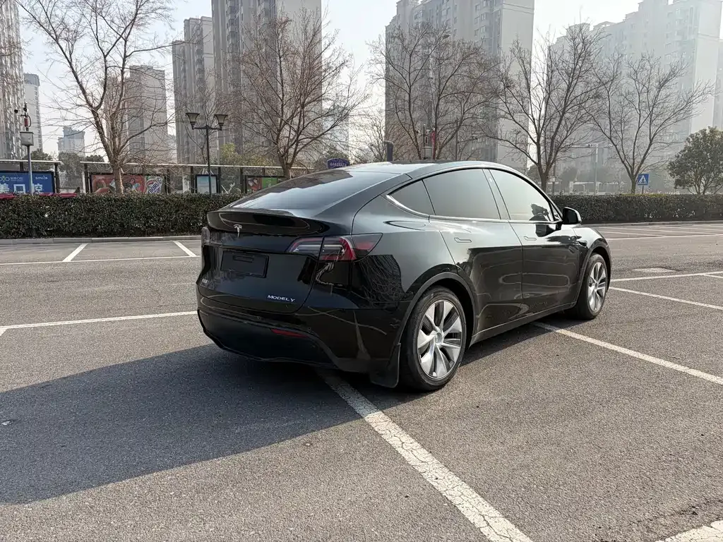 Tesla Model Y — фото 5