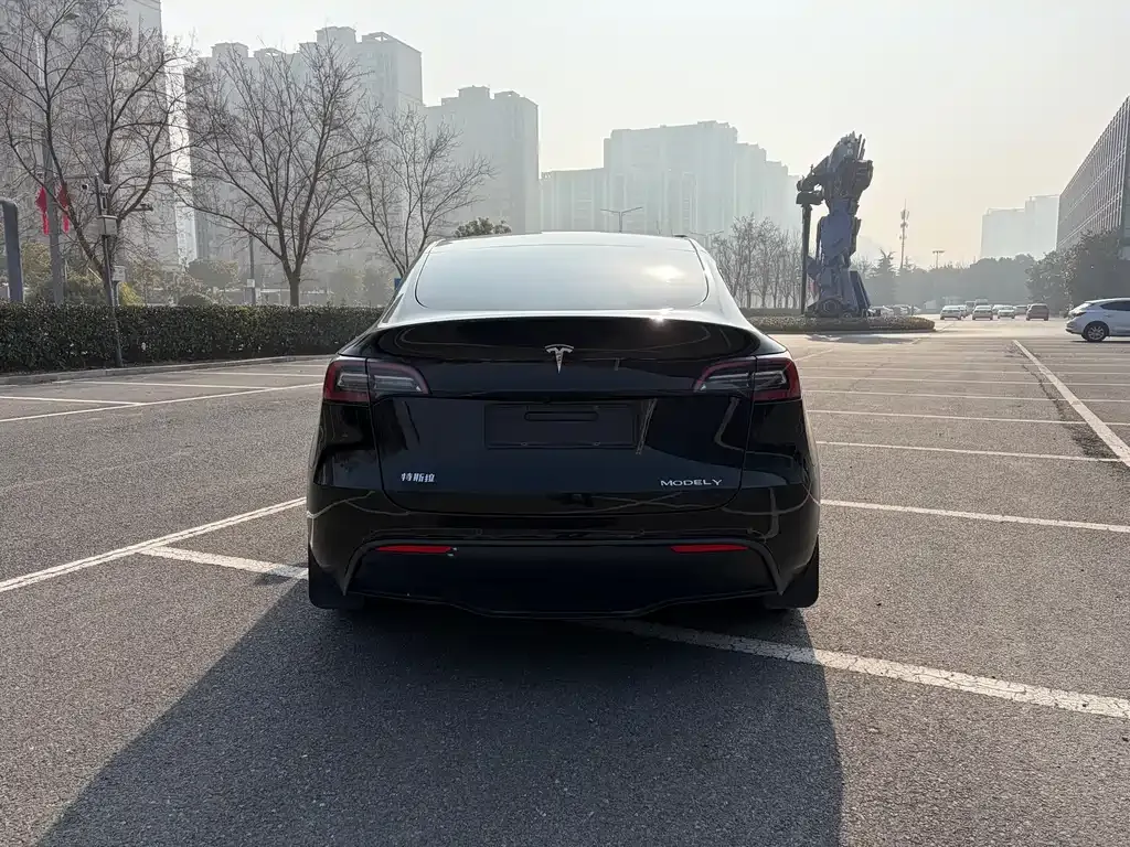 Tesla Model Y — фото 4