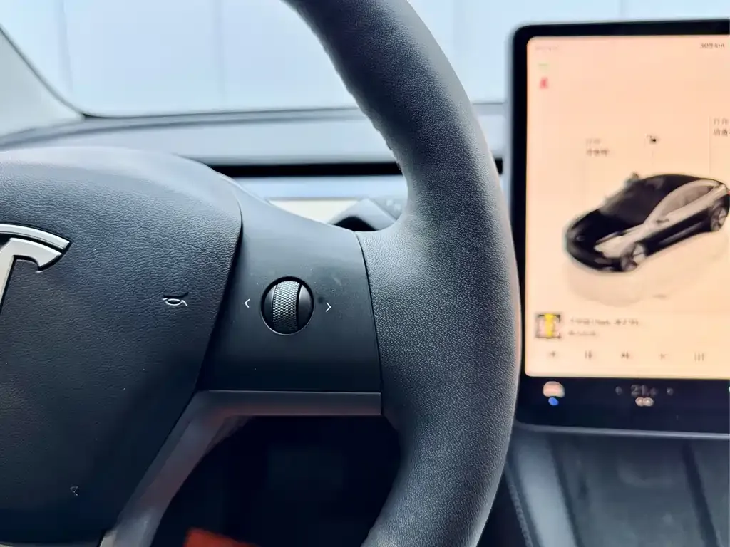 Tesla Model 3 2023 из CN, фото 9
